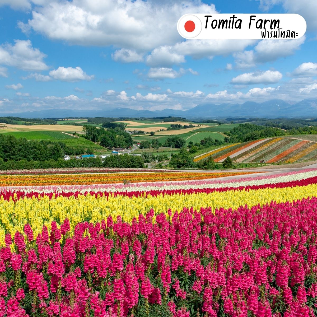 https://www.canva.com/photos/MAEC-FB5F0k/