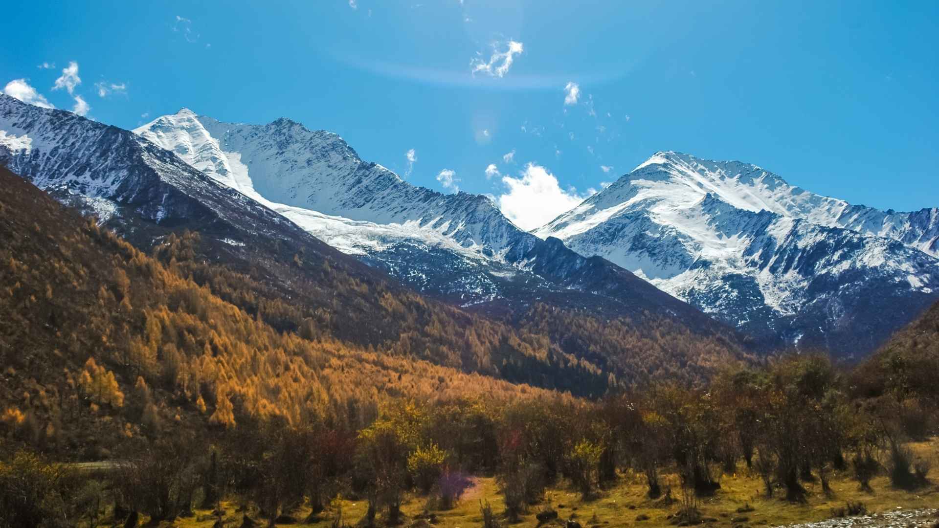 https://www.canva.com/photos/MADCFwlozLw/