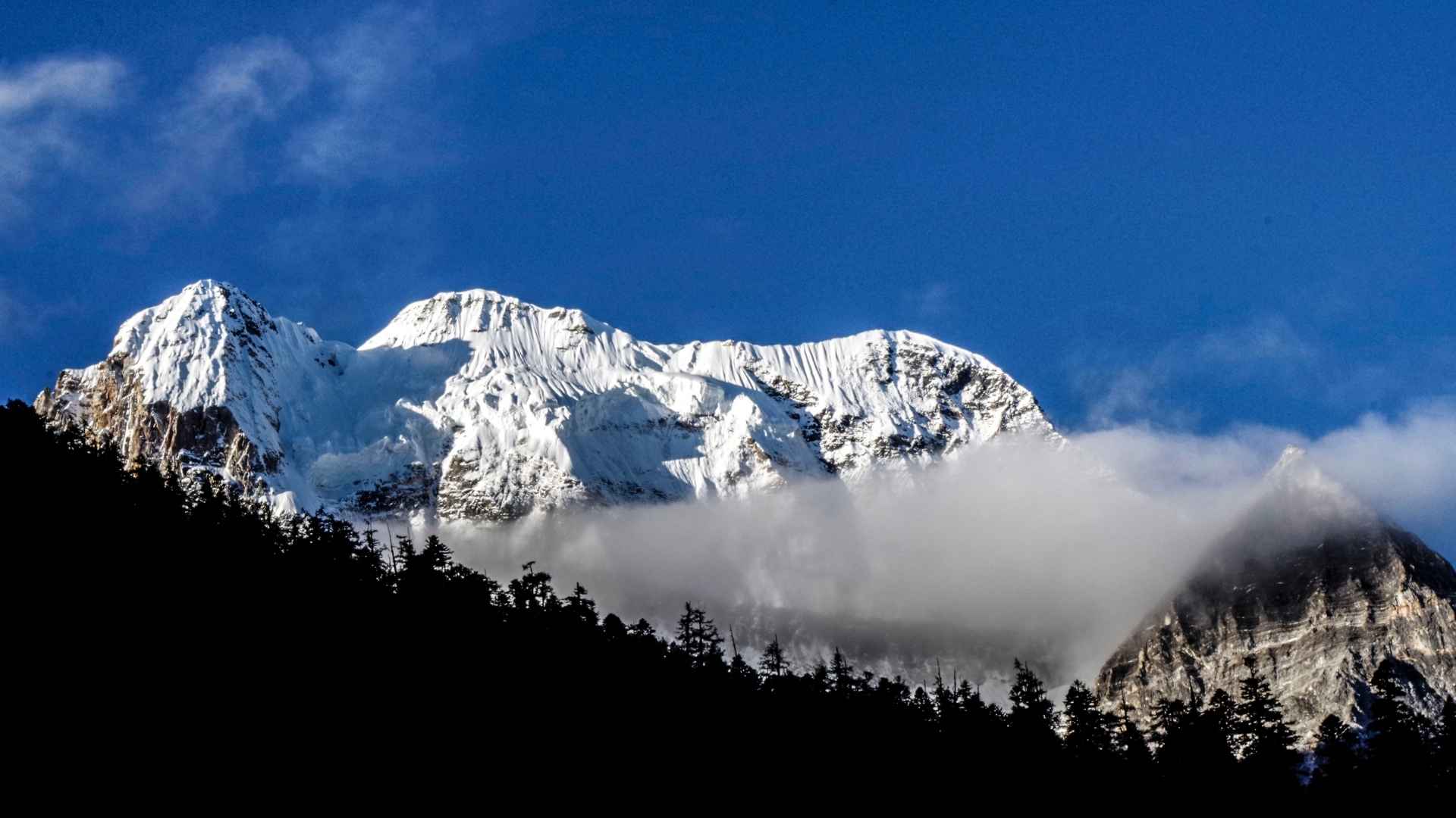 https://www.canva.com/photos/MADDC_tBo6c/
