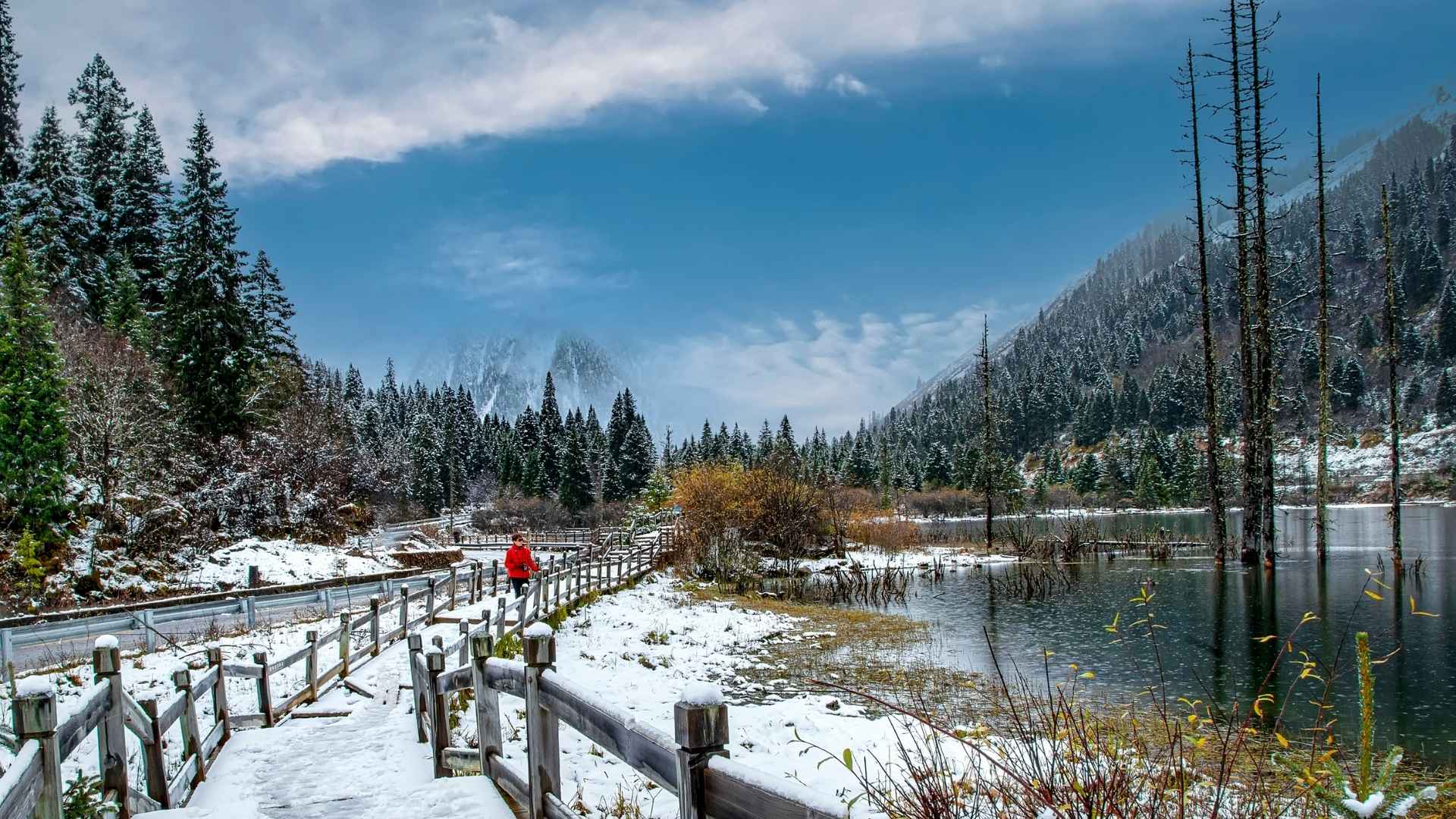 https://www.canva.com/photos/MAEPbZccbLE/